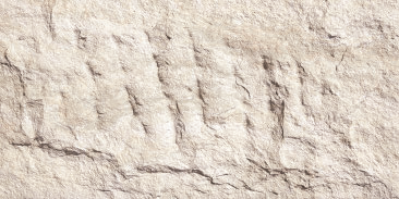 Devine Mushroom Stone