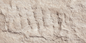Devine Mushroom Stone