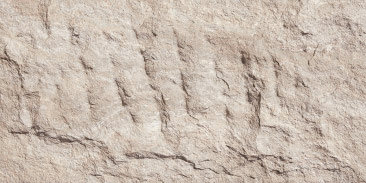 Devine Mushroom Stone