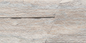 Oblique Mushroom Stone