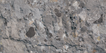 Devine Mushroom Stone