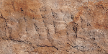 Devine Mushroom Stone