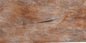 Oblique Mushroom Stone