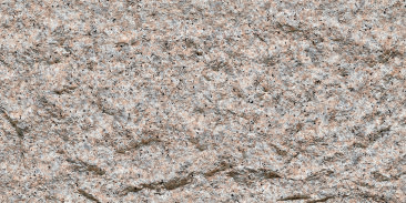 Devine Mushroom Stone