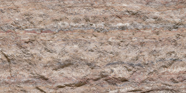 Devine Mushroom Stone