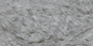 Devine Mushroom Stone