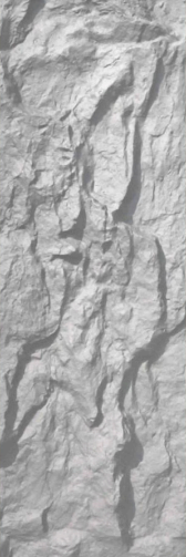 PU STONE - D00 SERIES