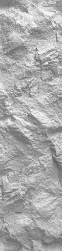 PU STONE - D00 SERIES