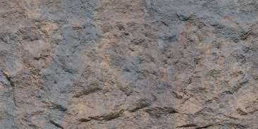 Devine Mushroom Stone