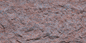 Devine Mushroom Stone
