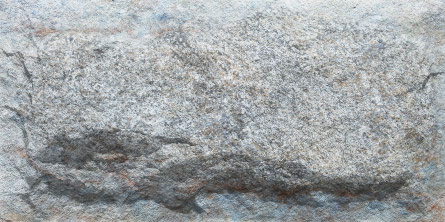 Crossard Mushroom