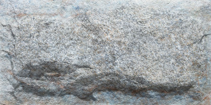 Crossard Mushroom