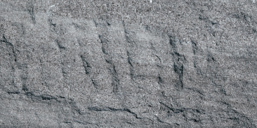 Devine Mushroom Stone