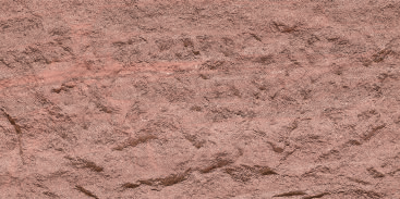 Devine Mushroom Stone