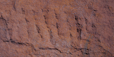 Devine Mushroom Stone