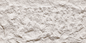 Devine Mushroom Stone