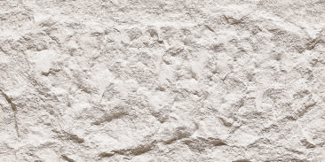 Devine Mushroom Stone