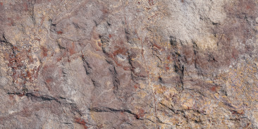 Devine Mushroom Stone