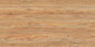 Polished Wood