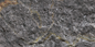 Devine Mushroom Stone