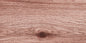 Sawtooth Wood