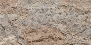 Devine Mushroom Stone